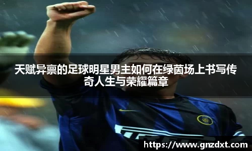 天赋异禀的足球明星男主如何在绿茵场上书写传奇人生与荣耀篇章